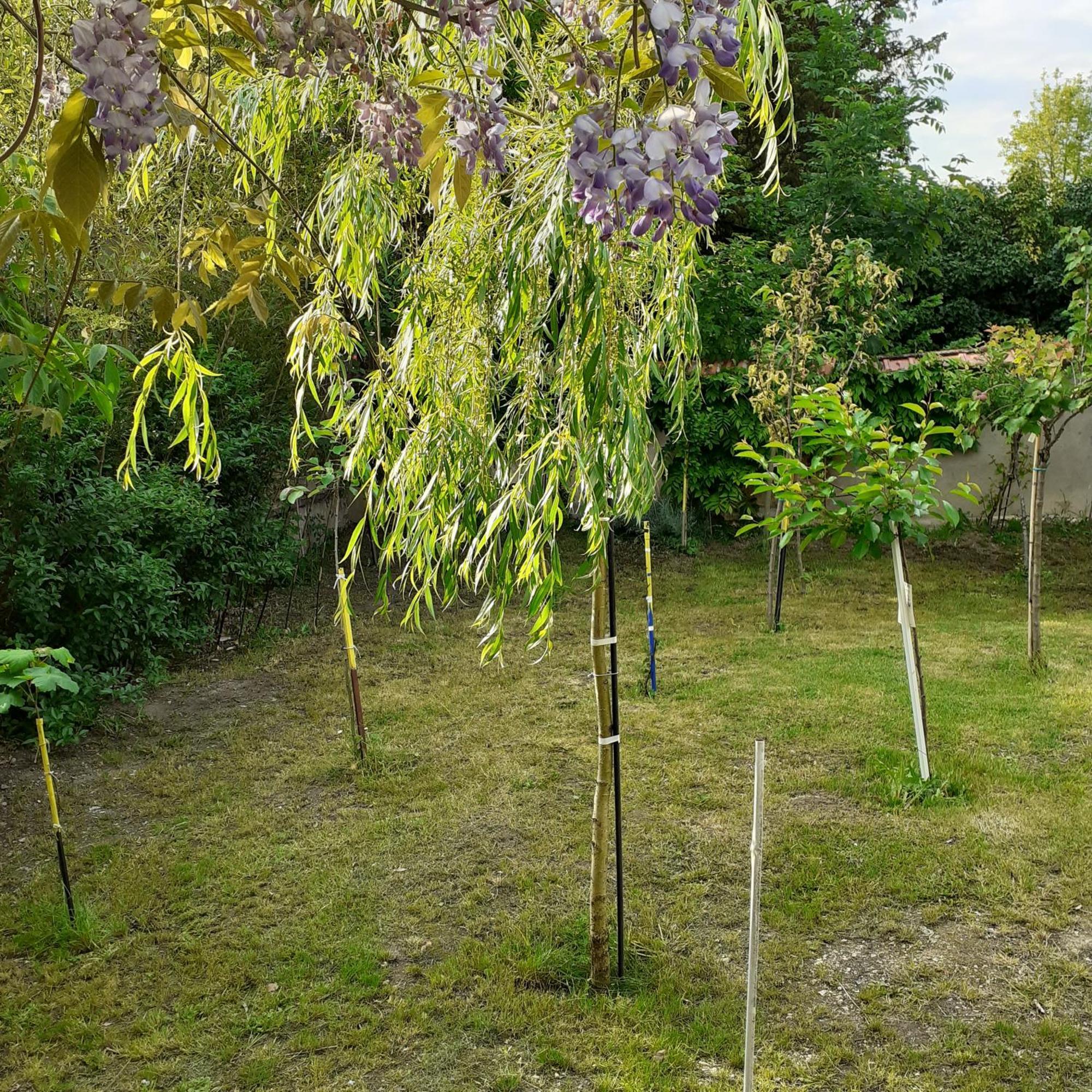 Chambres D'Hotes Gobillon Maintenon Luaran gambar