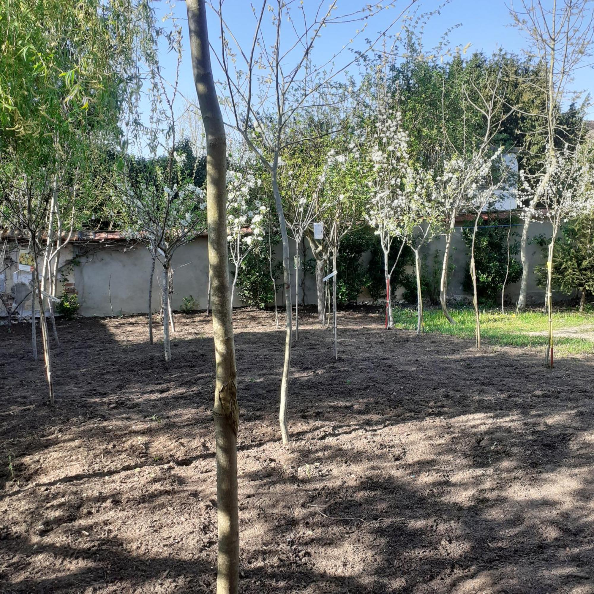 Chambres D'Hotes Gobillon Maintenon Luaran gambar