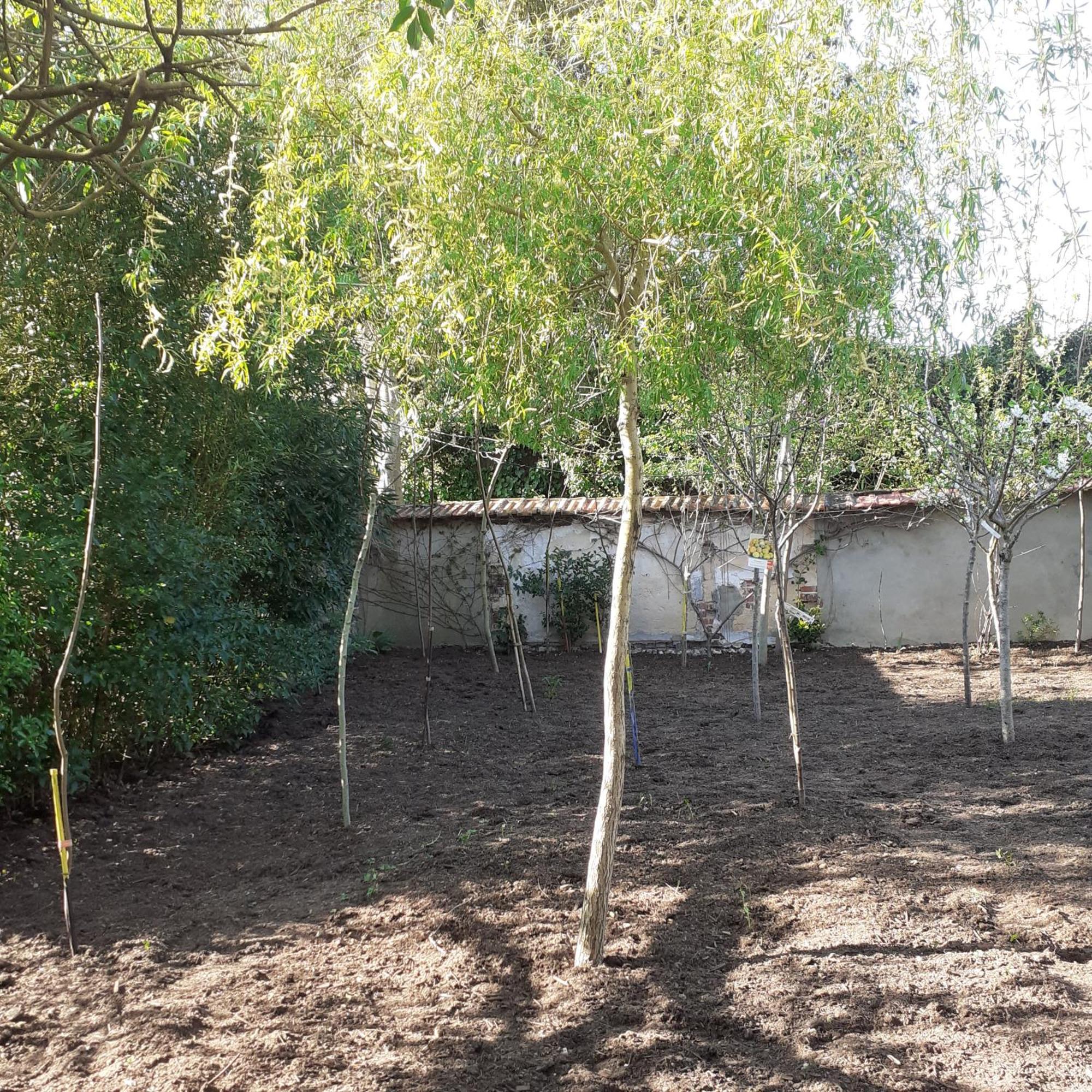 Chambres D'Hotes Gobillon Maintenon Luaran gambar